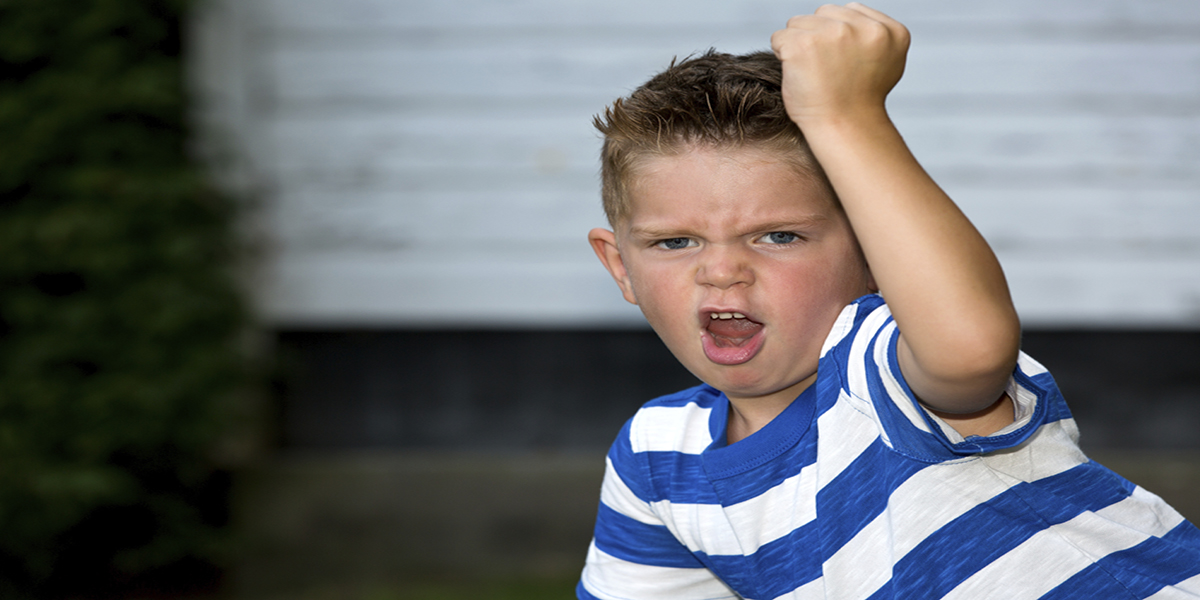 Quelles sont les causes de l&rsquo;agressivité chez un enfant?
