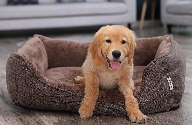 Comment réussir l&rsquo;achat de son panier pour chien ?