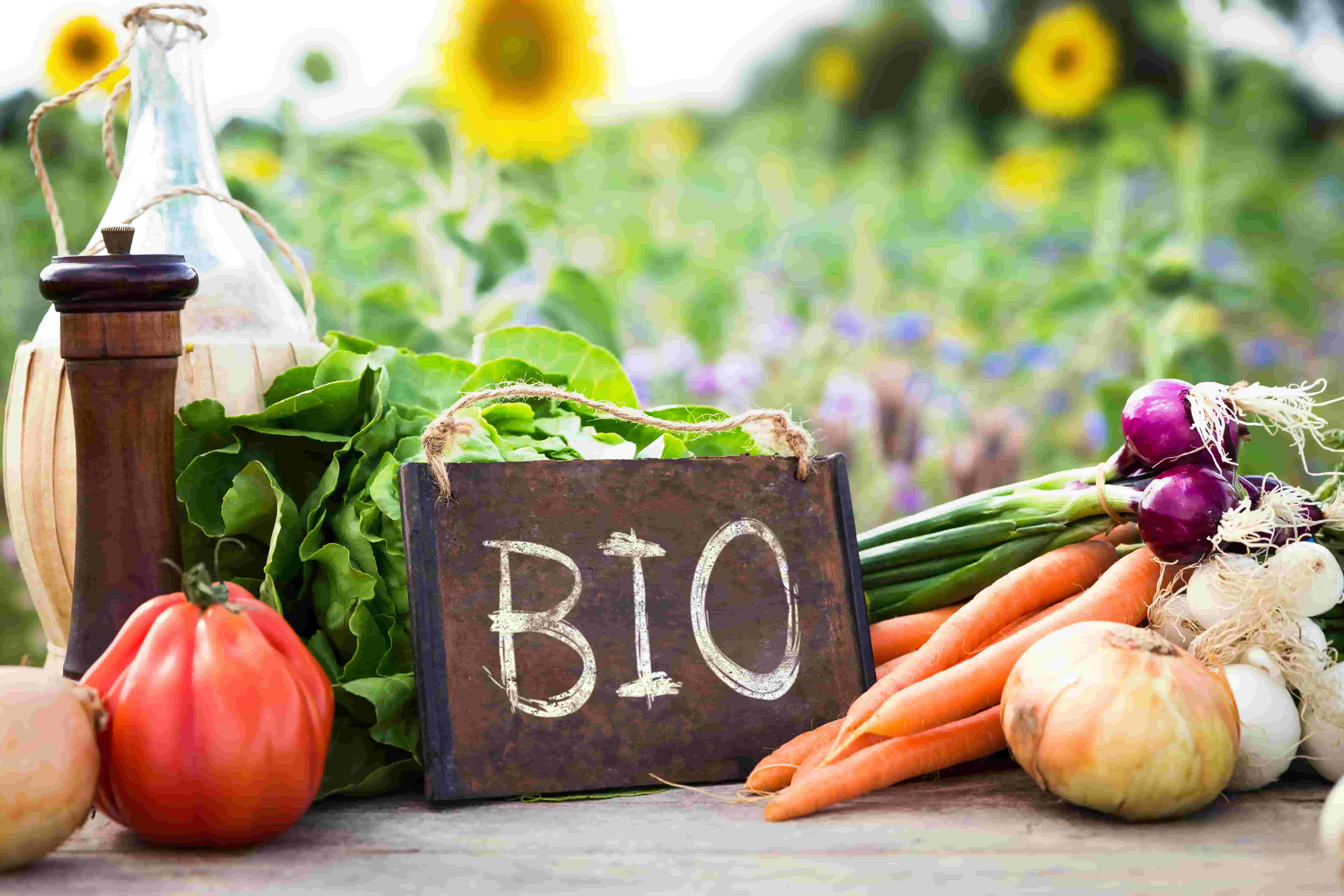 5 bonnes raisons de consommer bio quand on a des enfants